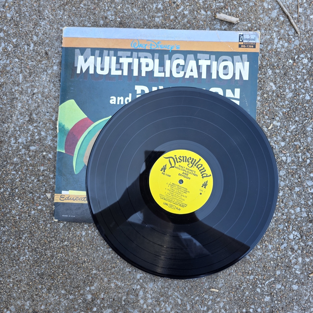 Disneyland Vinyl Record with Cover